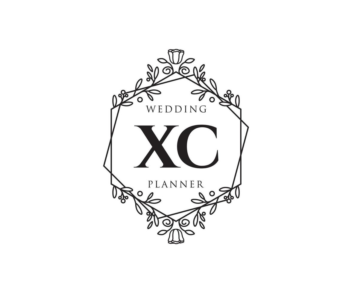 xc initialer brev bröllop monogram logotyper samling, hand dragen modern minimalistisk och blommig mallar för inbjudan kort, spara de datum, elegant identitet för restaurang, boutique, Kafé i vektor