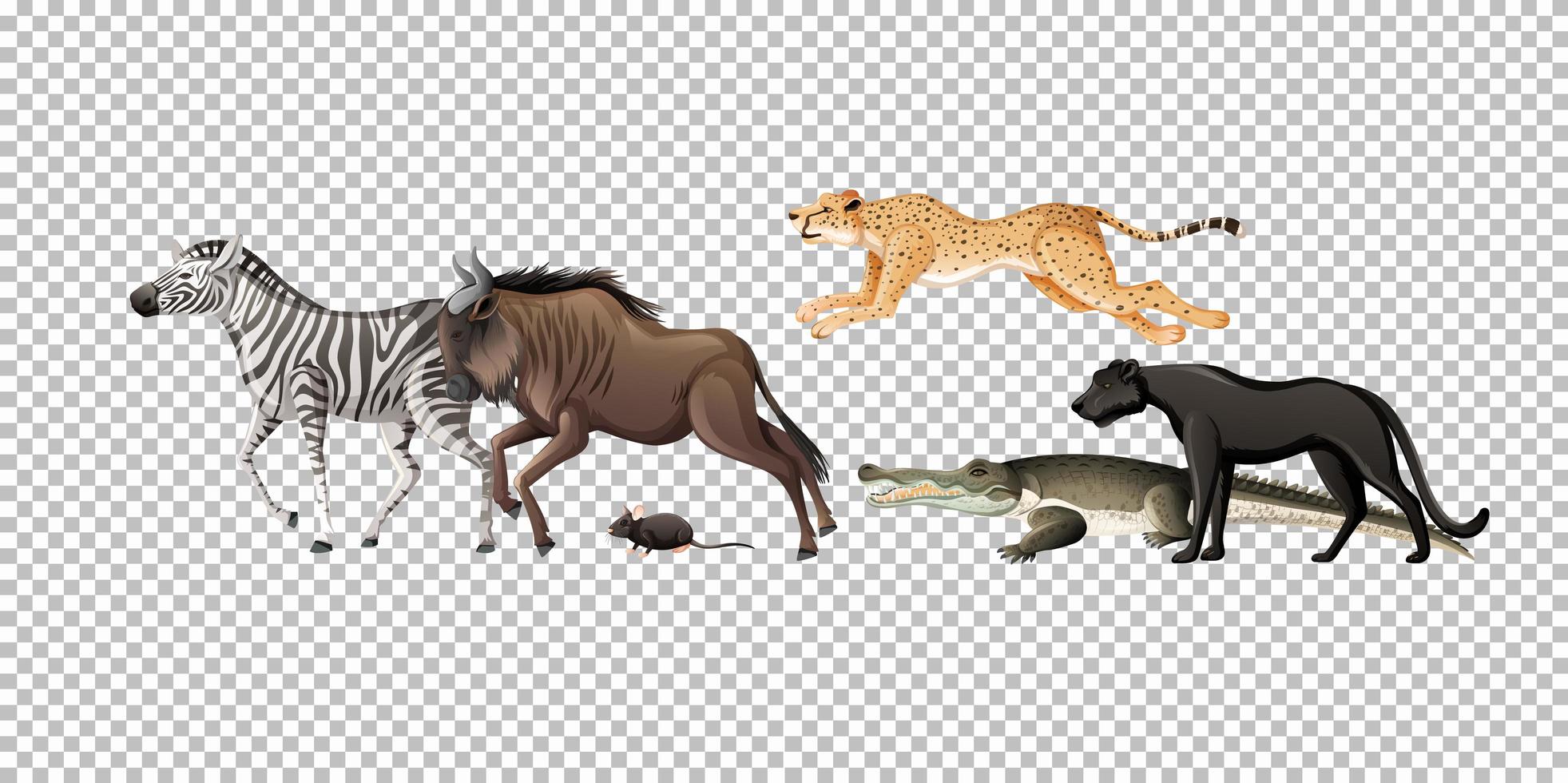 grupp av vilda afrikanska djur på transparent bakgrund vektor