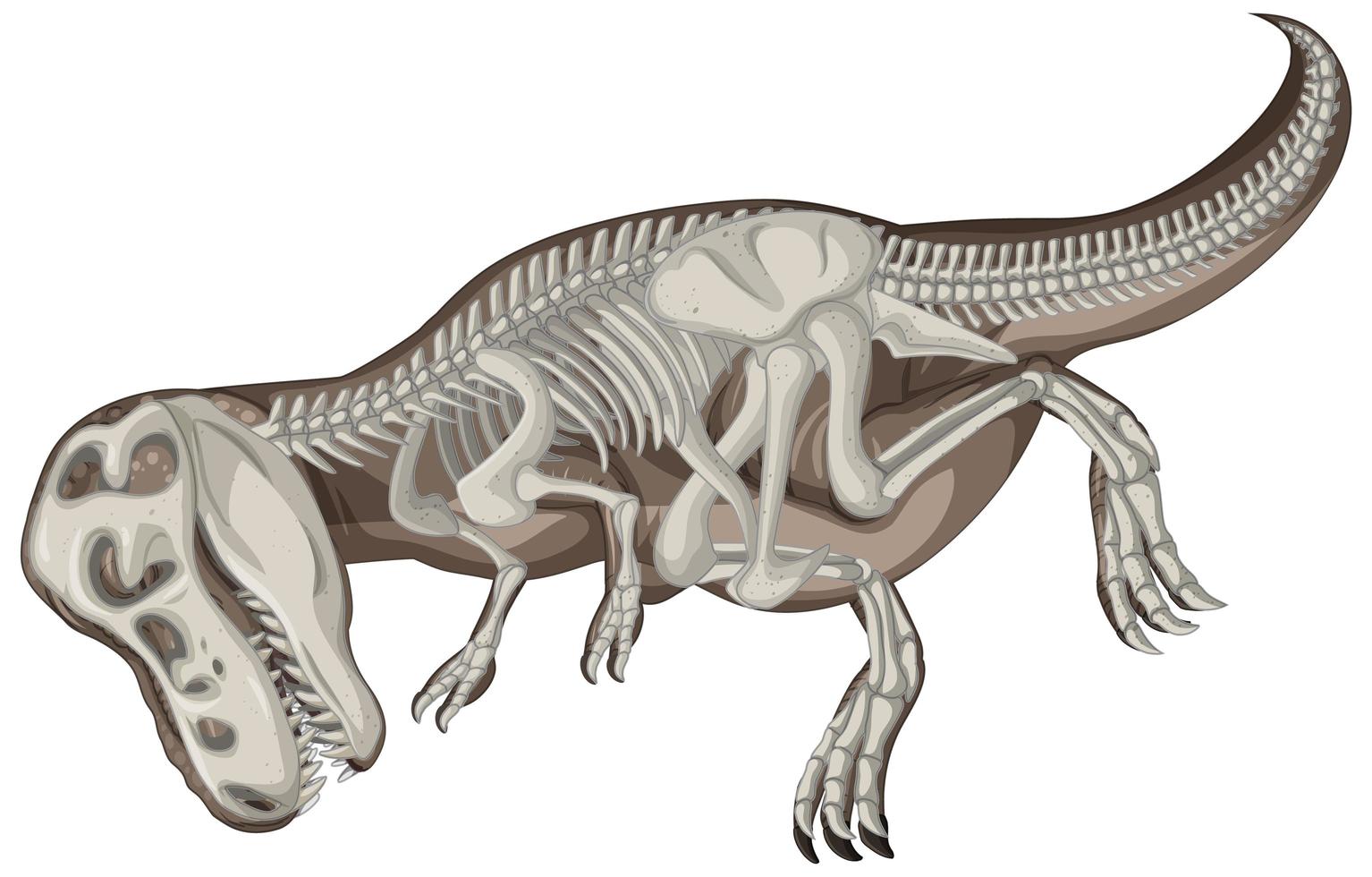 fulla dinosaurie skelett på vit bakgrund vektor