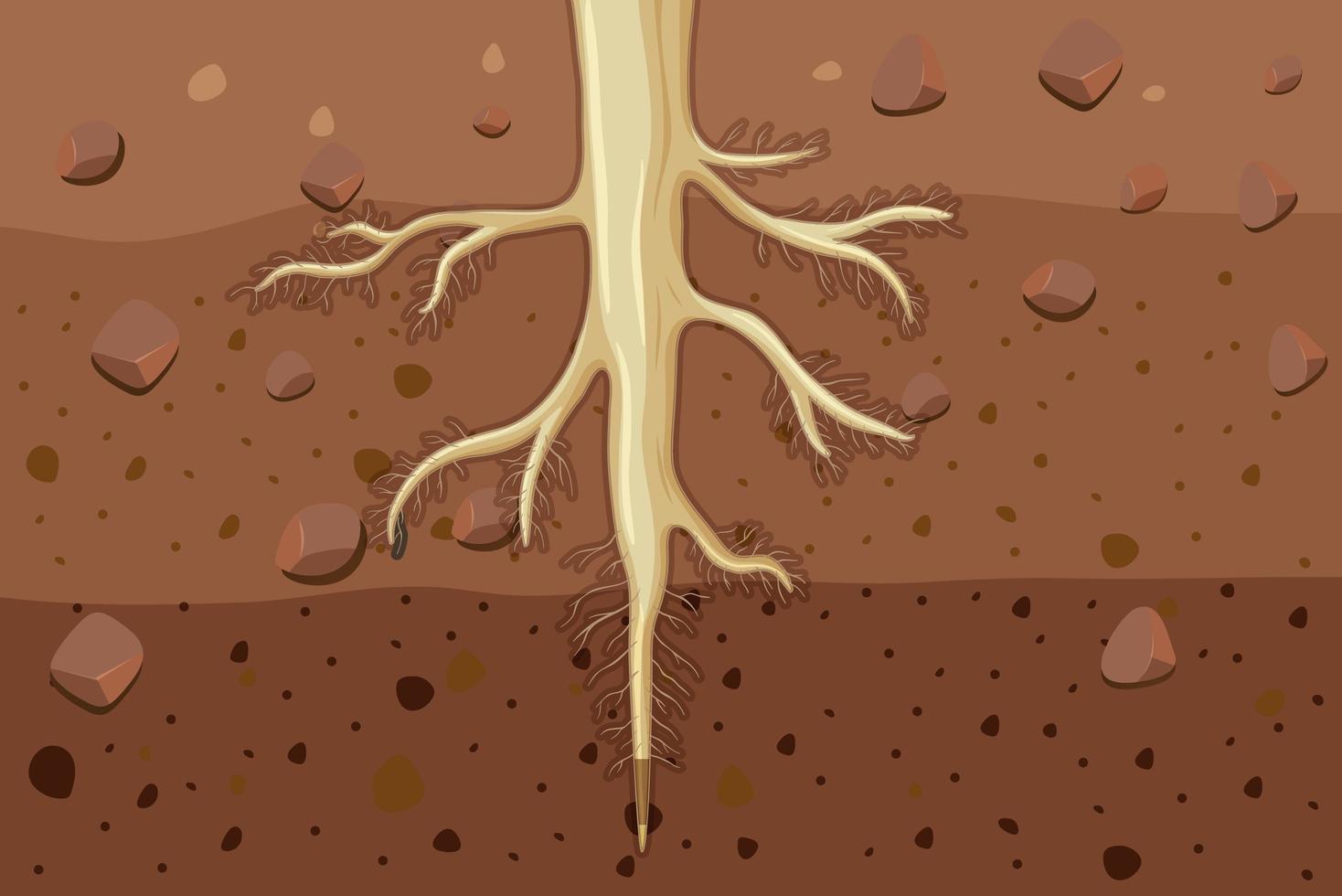 närbild av växtrötter i jord vektor