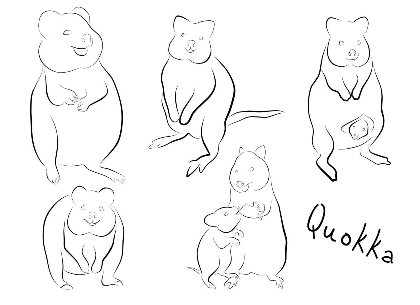 set tier quokka. Vektor-Illustration. Vorschul-Zoo-Thema. australisch vektor