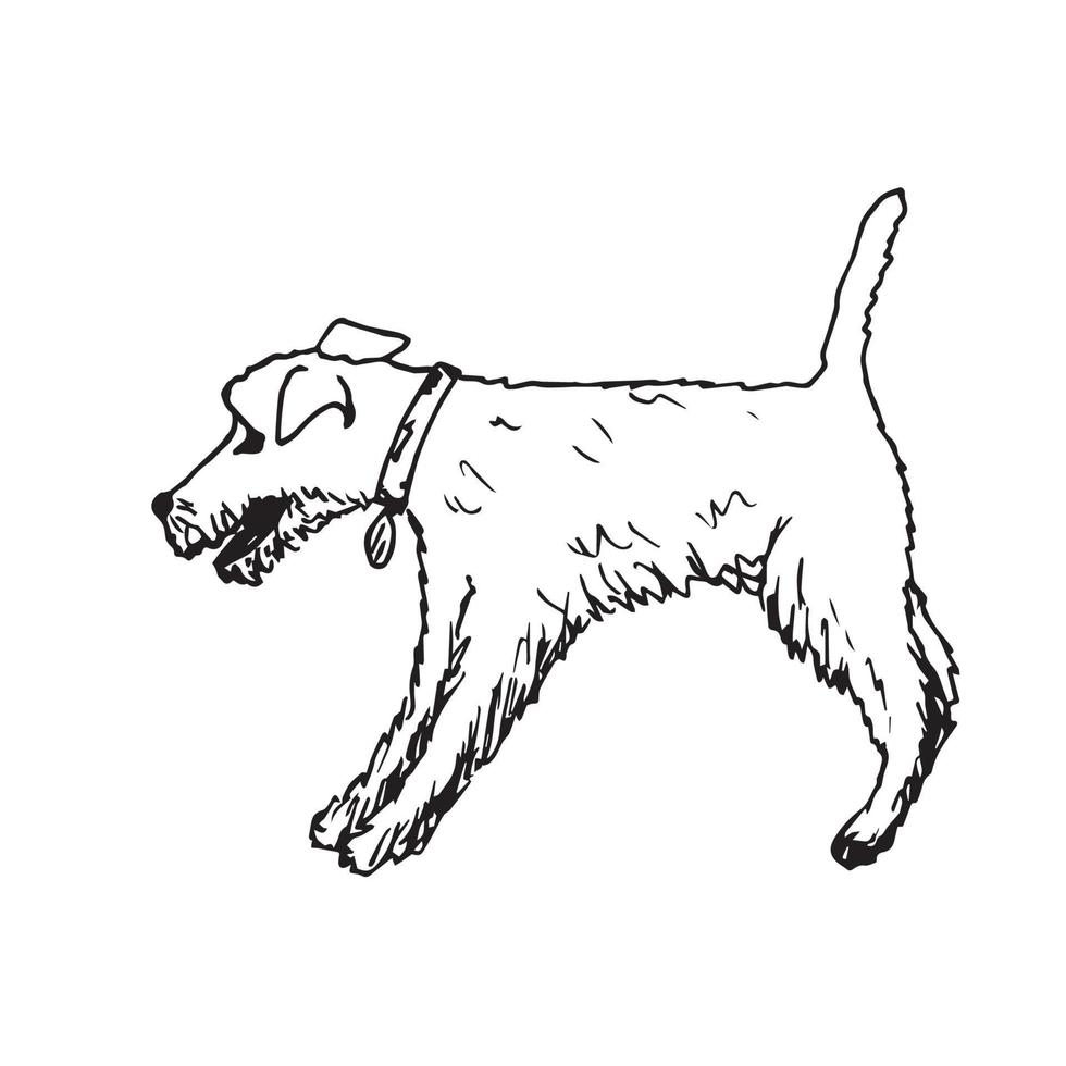hand dragen svart översikt vektor illustration. räv terrier hund med en krage i en stående utgör, översikt på en vit bakgrund.
