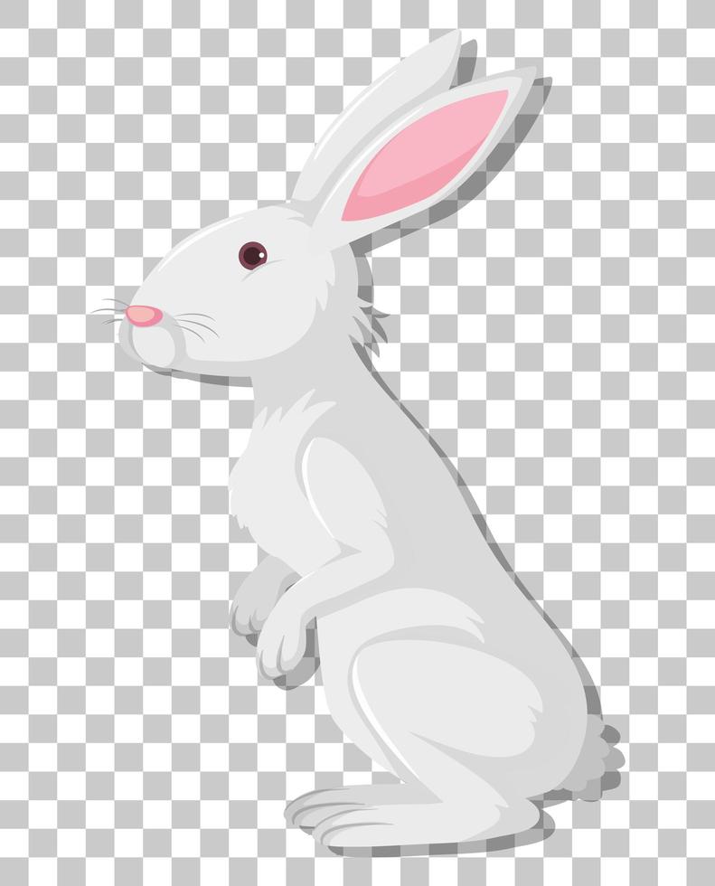 weißer Kaninchenkarikatur lokalisiert auf transparentem Hintergrund vektor