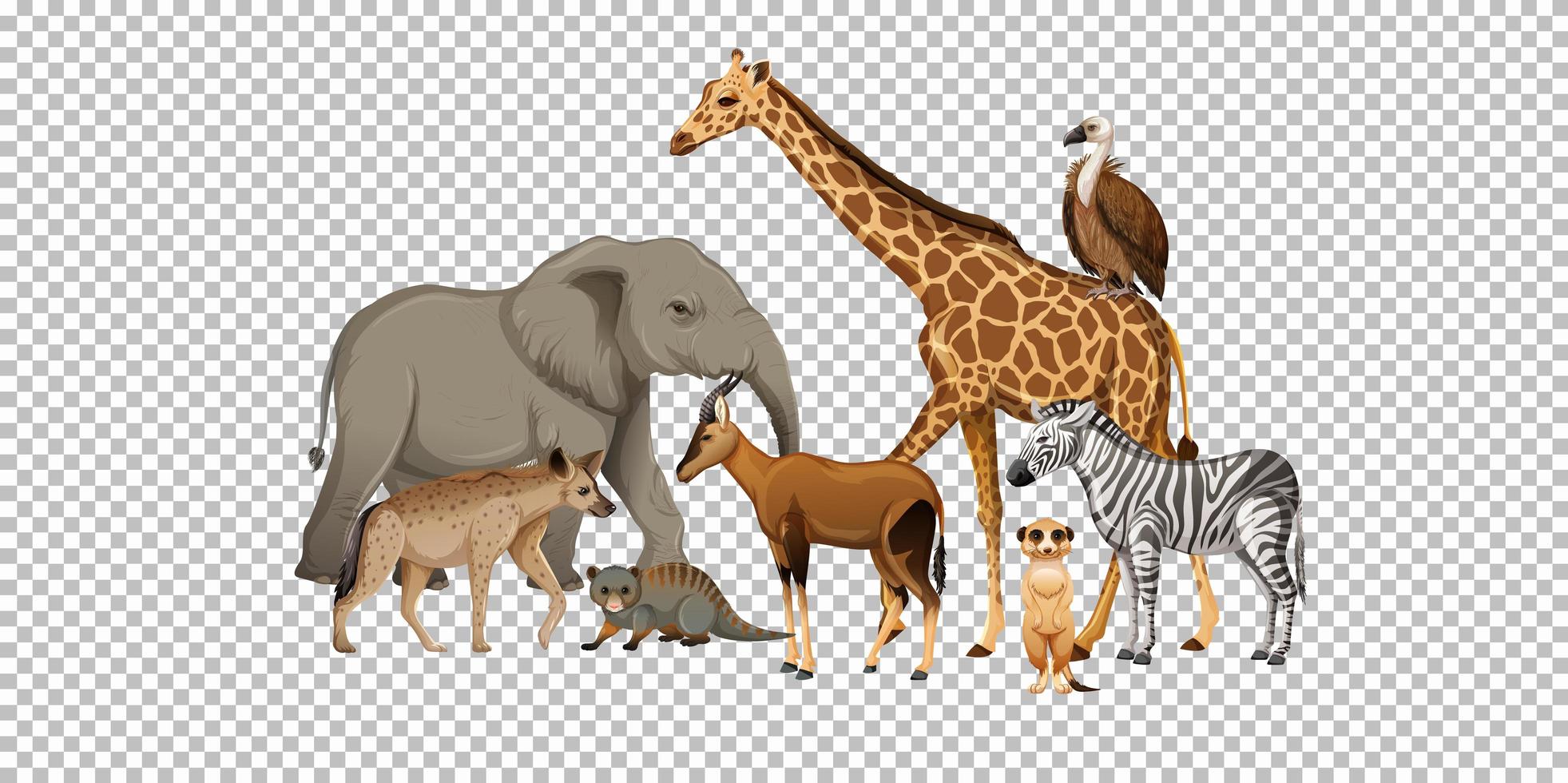 Gruppe des wilden afrikanischen Tieres auf transparentem Hintergrund vektor