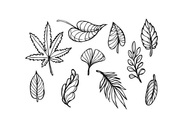 Gratis Leaf Sketch Icon Vector