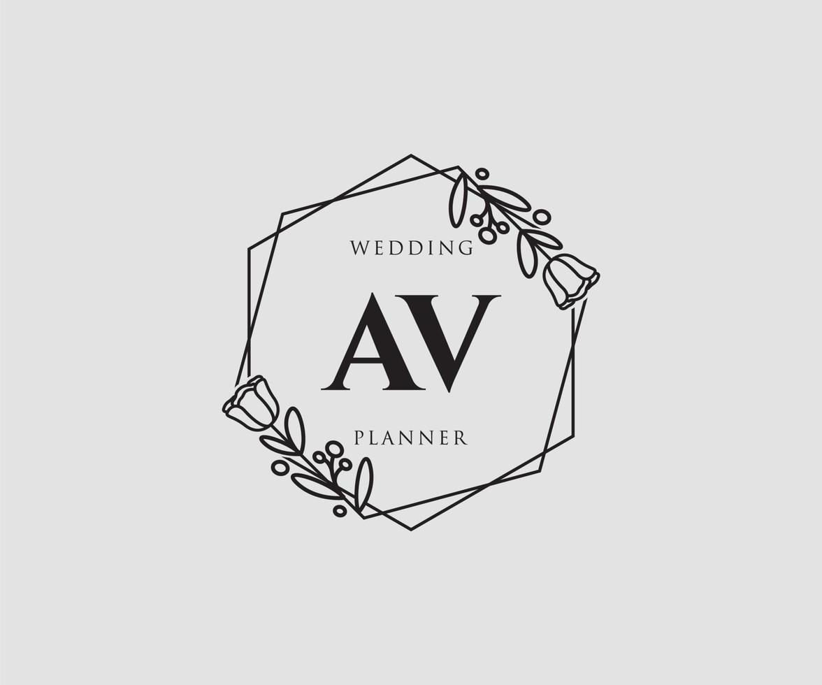 första AV feminin logotyp. användbar för natur, salong, spa, kosmetisk och skönhet logotyper. platt vektor logotyp design mall element.