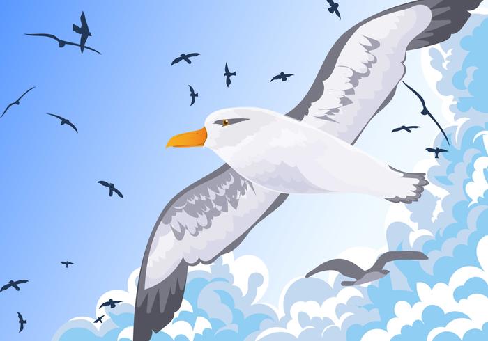 Albatros Vogel fliegen in den Himmel Vektor