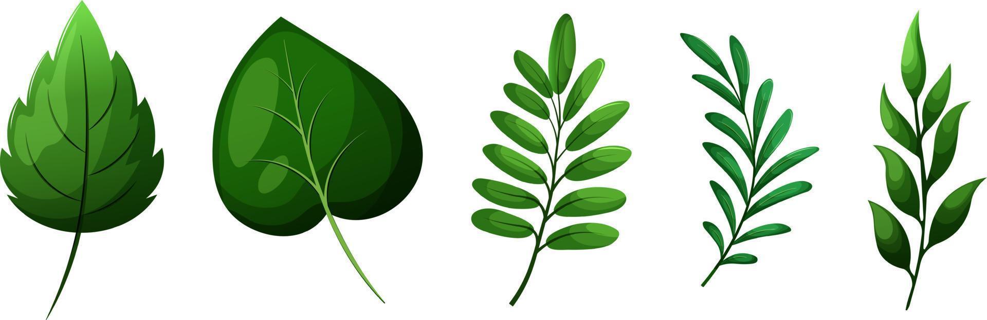 uppsättning av tecknad serie grön löv och grenar på transparent bakgrund vektor