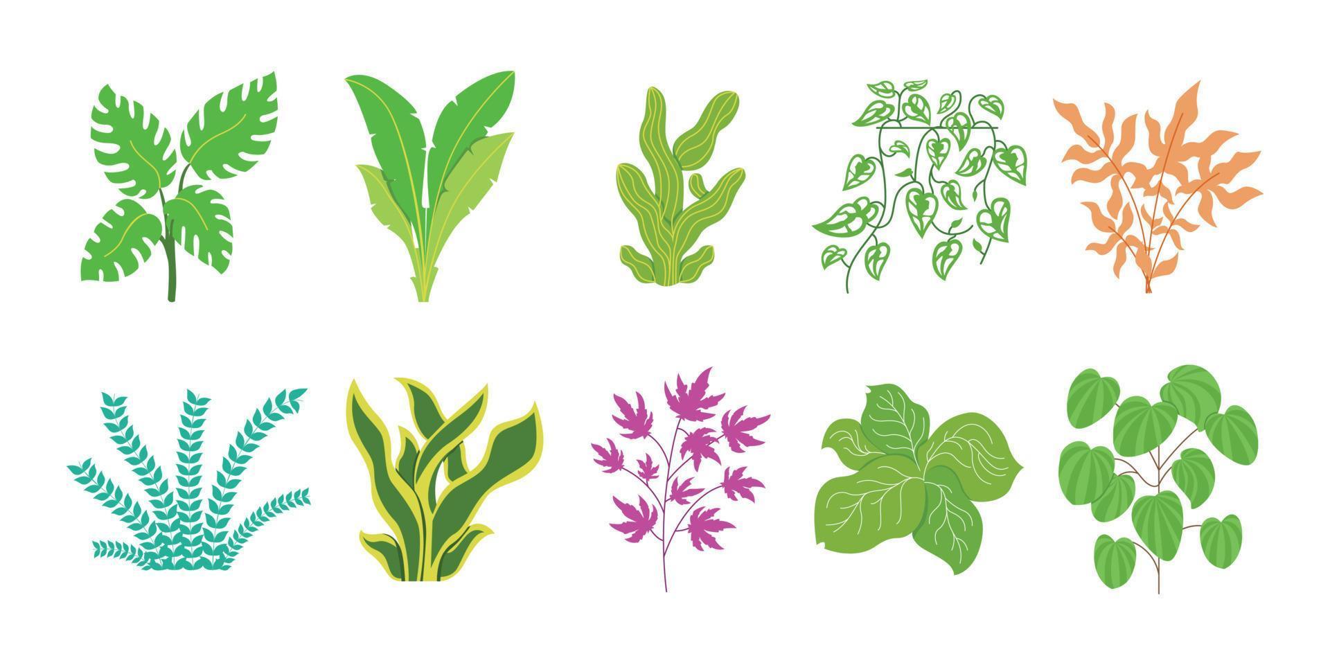 10 uppsättning växter vektor
