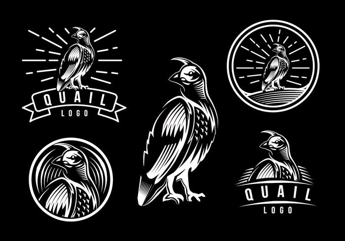 Quail Logo Vorlage vektor