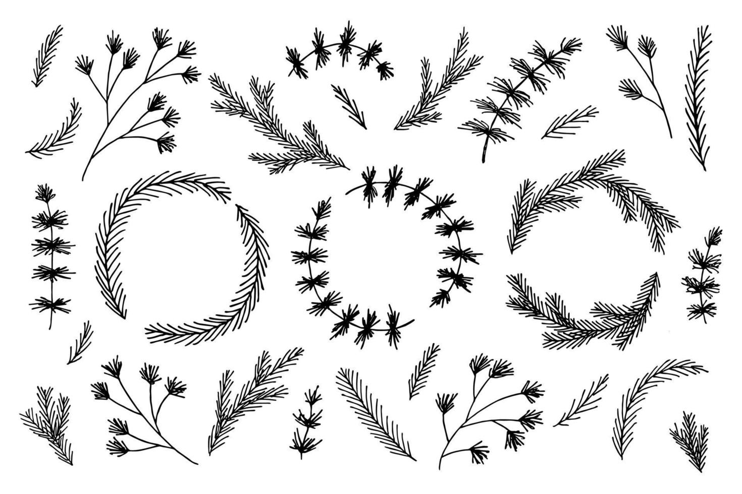 handgezeichnete Fichtenzweige. Zweig des Nadelbaum-Doodle-Sets. weihnachts- und wintergestaltungselemente vektor