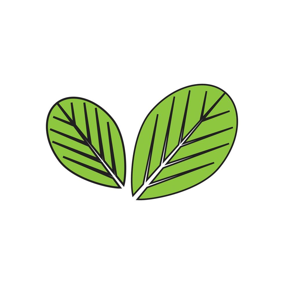 moringa leaf logo mall vektor symbol natur