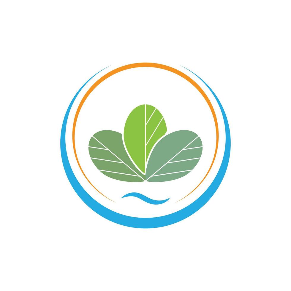 moringa leaf logo mall vektor symbol natur