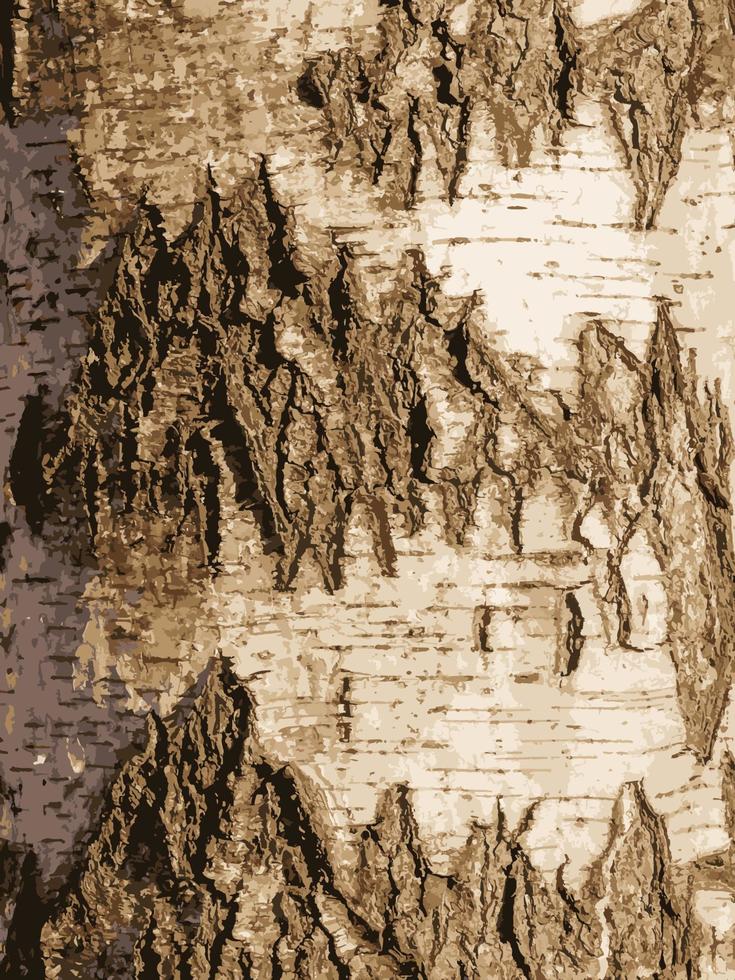 realistisk vektor illustration av björk bark textur. textur av björk bark. björk bakgrund. björk trunk, betula pendula.