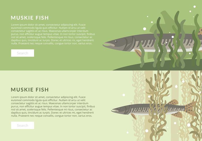 Muskie Fisch Banner Vorlage Free Vector