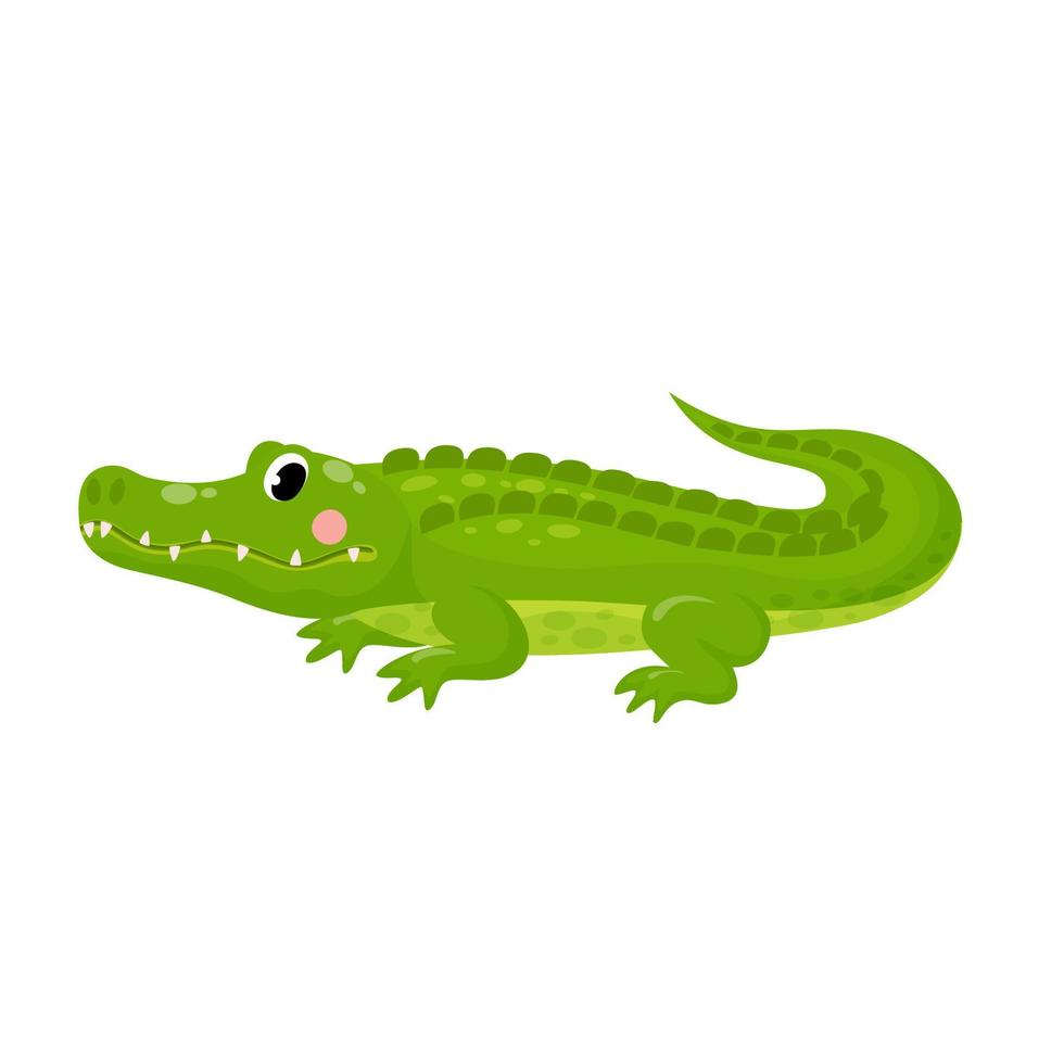 vektor illustration av söt alligator isolerat krokodil i tecknad serie stil på vit bakgrund. använda sig av för barn app, spel, bok, Kläder skriva ut t-shirt skriva ut, bebis dusch.