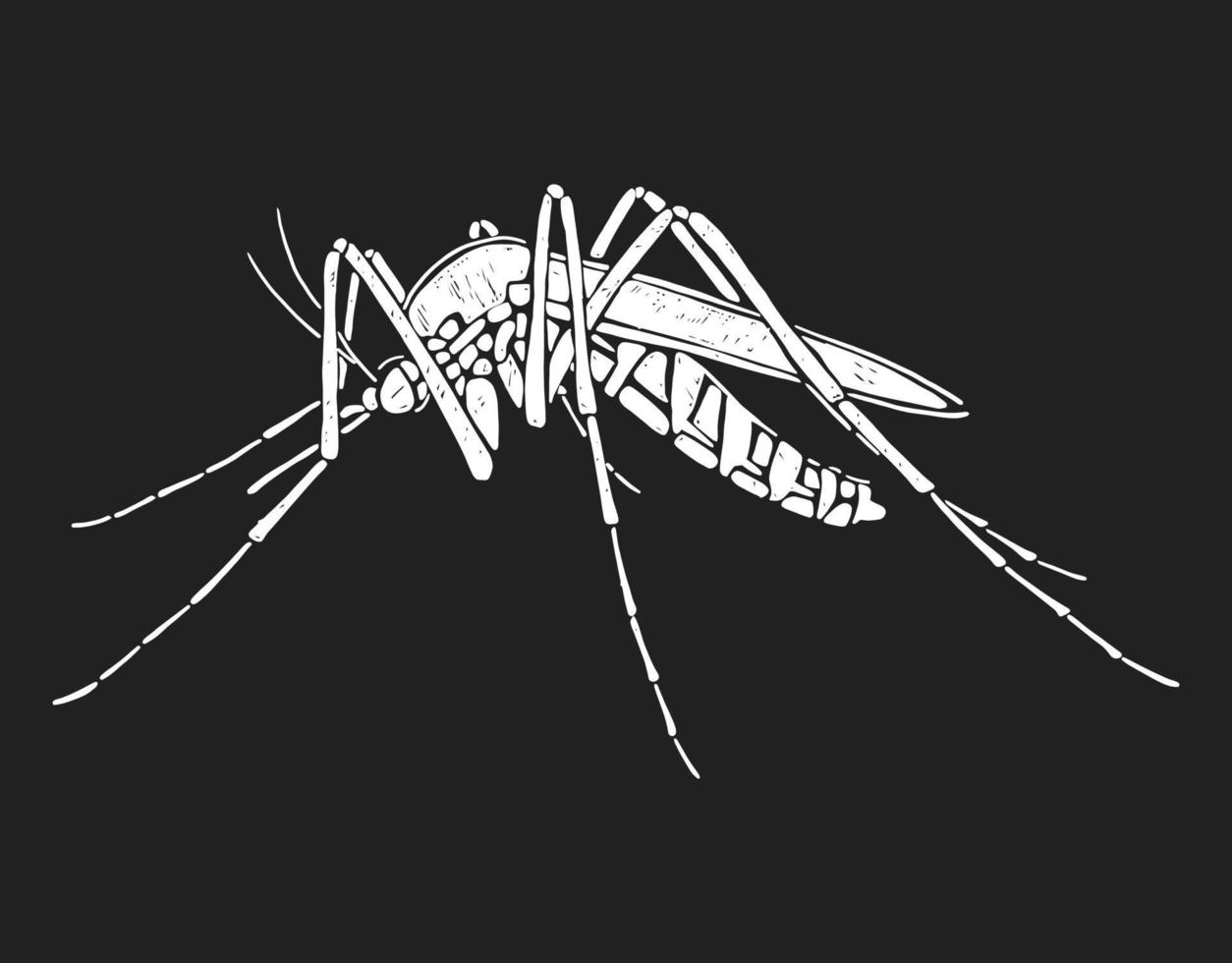 mygga silhuett. svart och vit vektor illustration på svart bakgrund