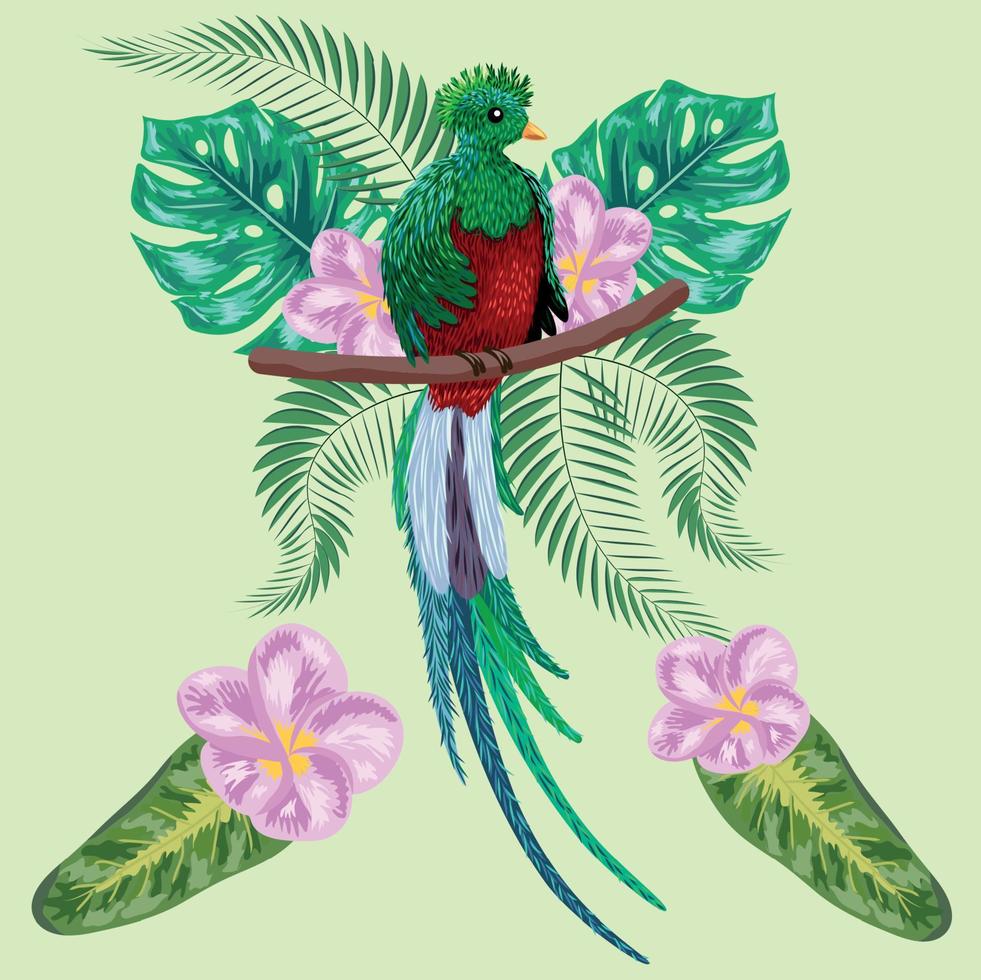 handgezeichneter Quetzalvogel. bunte Abbildung. Quetzal sitzt auf einem Ast. vektor