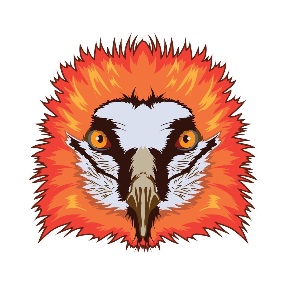 Bartgeier-Vogelgesichts-Vektorillustration im dekorativen Stil, perfekt für T-Shirt-Design und Maskottchen-Logo vektor