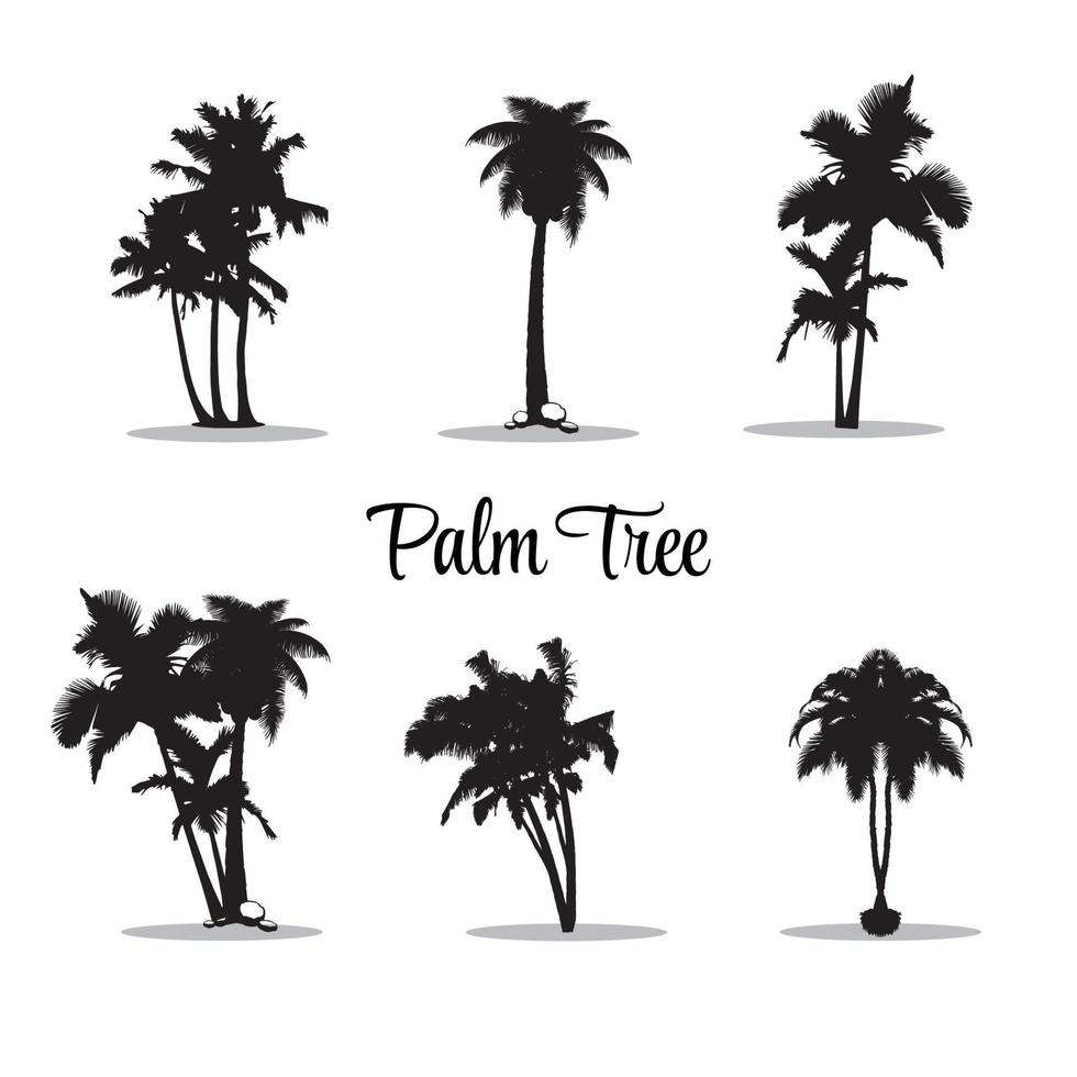 handflatan ikoner uppsättning. 6 svart handflatan träd silhuetter isolerat på vit bakgrund. palmer, kokos ikoner. vektor illustration