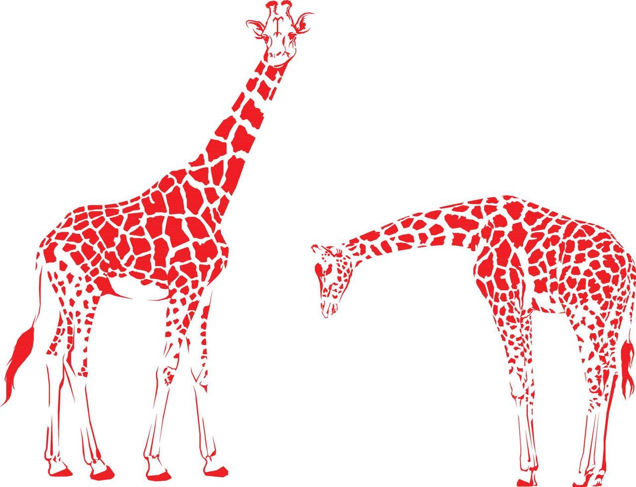 skiss av en hög afrikansk giraff på en vit bakgrund. söt giraffer. vektor illustration. söt giraff vektor illustration - orange och vit stiliserade översikt av ett elegant djur-