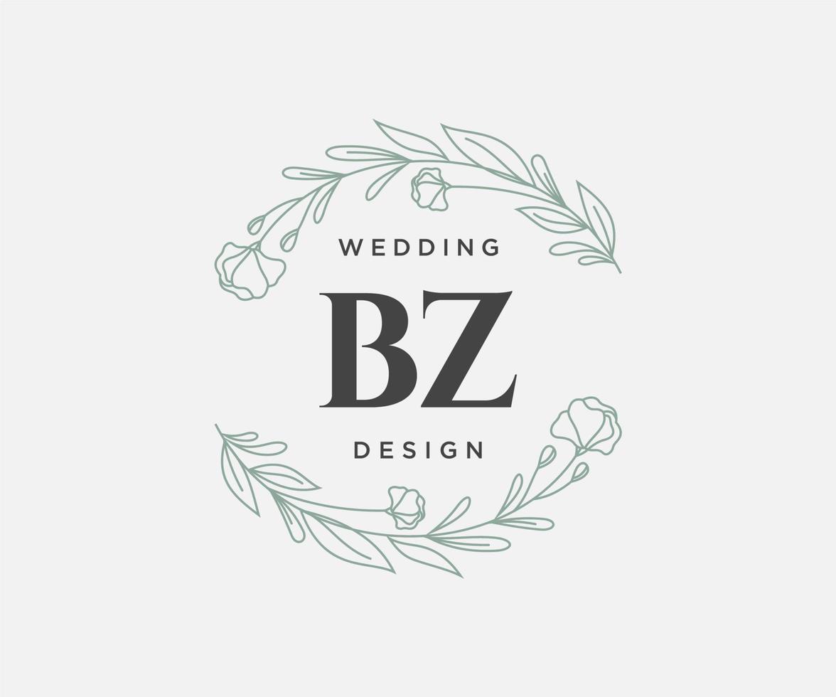 bz initialer brev bröllop monogram logotyper samling, hand dragen modern minimalistisk och blommig mallar för inbjudan kort, spara de datum, elegant identitet för restaurang, boutique, Kafé i vektor