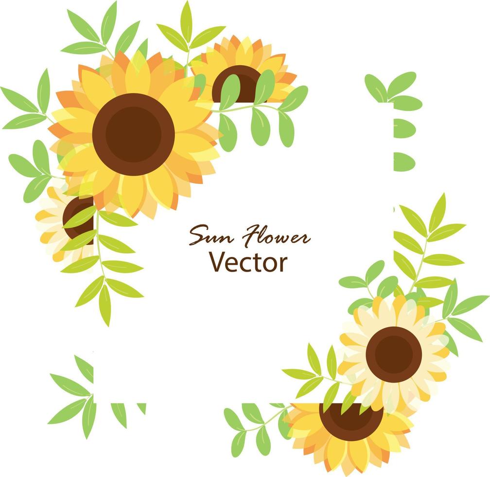 Rahmen der Sonnenblume vektor