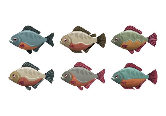 Piranha Fisch Vektor-Illustration Sammlung vektor