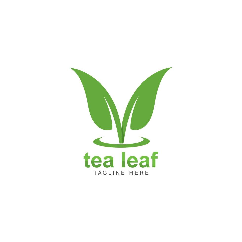 Teeblatt-Logo-Vektor-Symbol-Illustration vektor