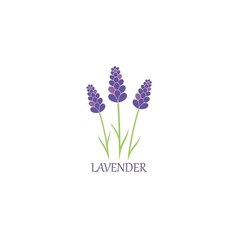 lavendel, floral, aromatisch, logo, vektor, symbol, abbildung vektor