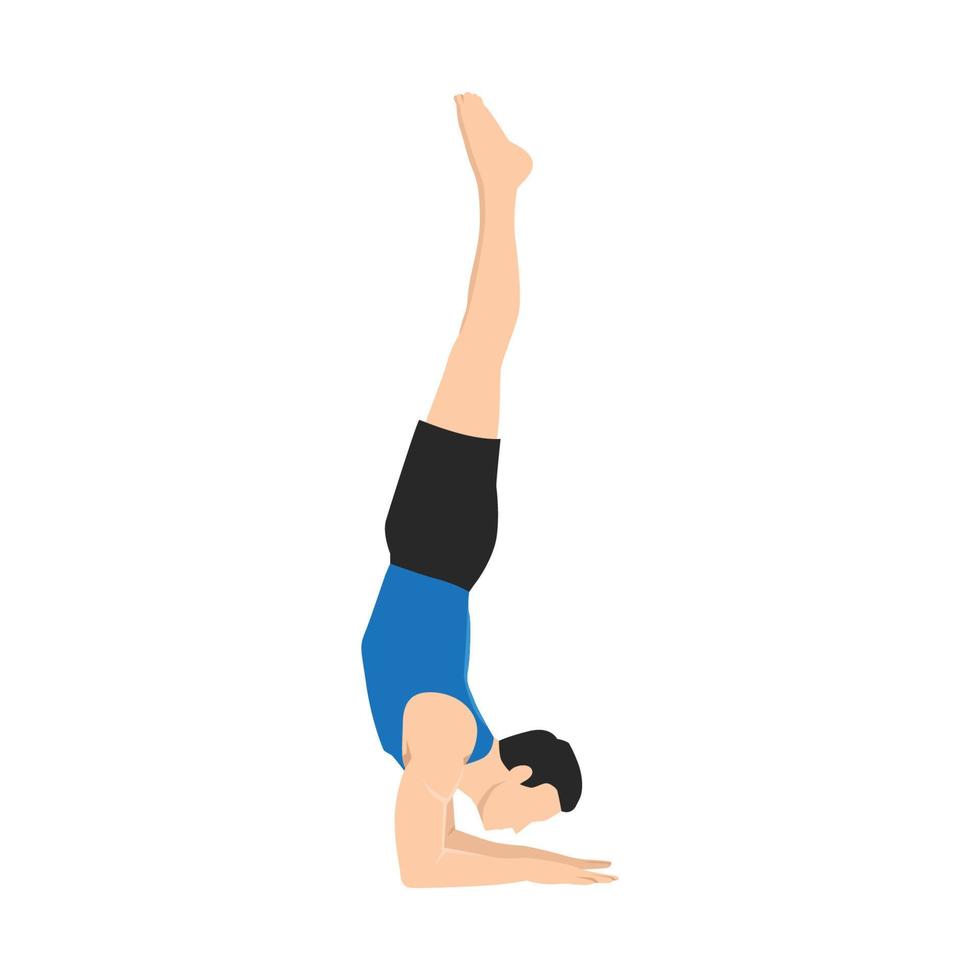 Mann macht gefiederte Pfauenhaltung, Unterarmstand. Praktiziere Pincha Mayurasana. flache vektorillustration lokalisiert auf weißem hintergrund vektor