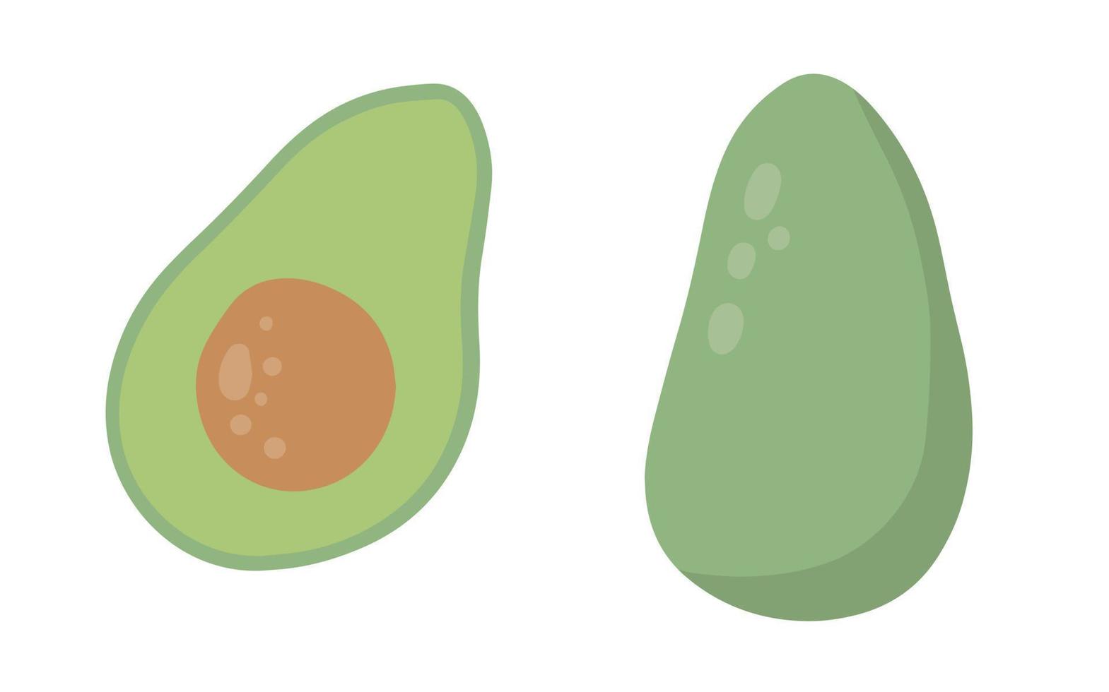 hand gezeichnete avocado im karikaturstil. grüne lebensmittelelemente. Vektor-Illustration isoliert auf weißem Hintergrund vektor