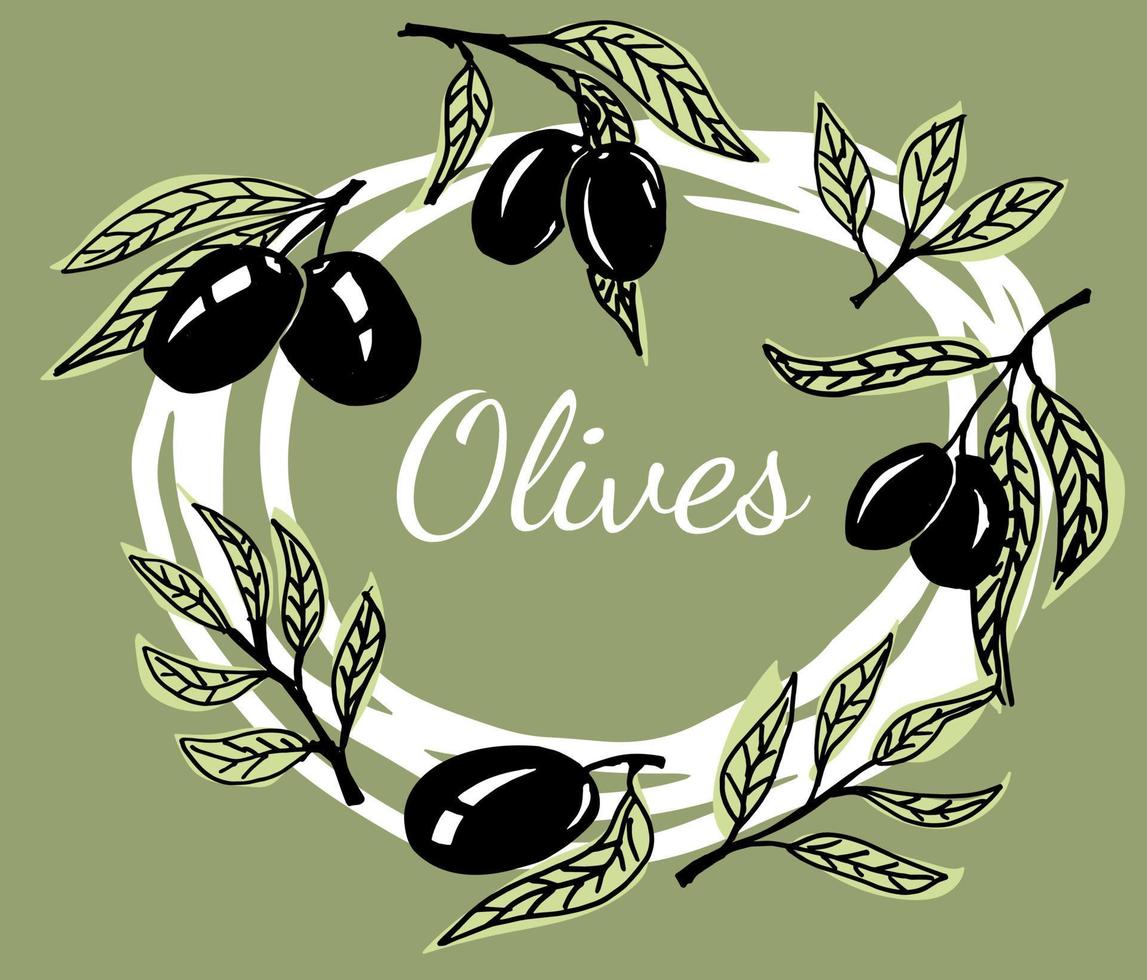 moderne Vorlage mit Olivenzweigen und Früchten vektor