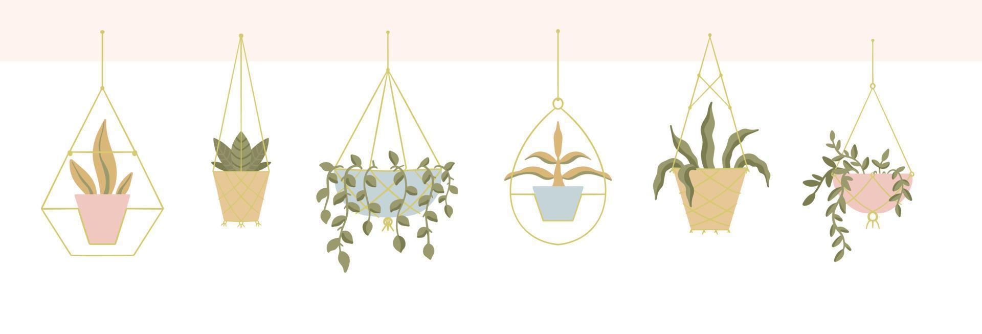 uppsättning av Hem macrame galgar för växter i blomkruka. trendig hand dragen krukväxt i pott. vektor isolerat illustration på vit bakgrund