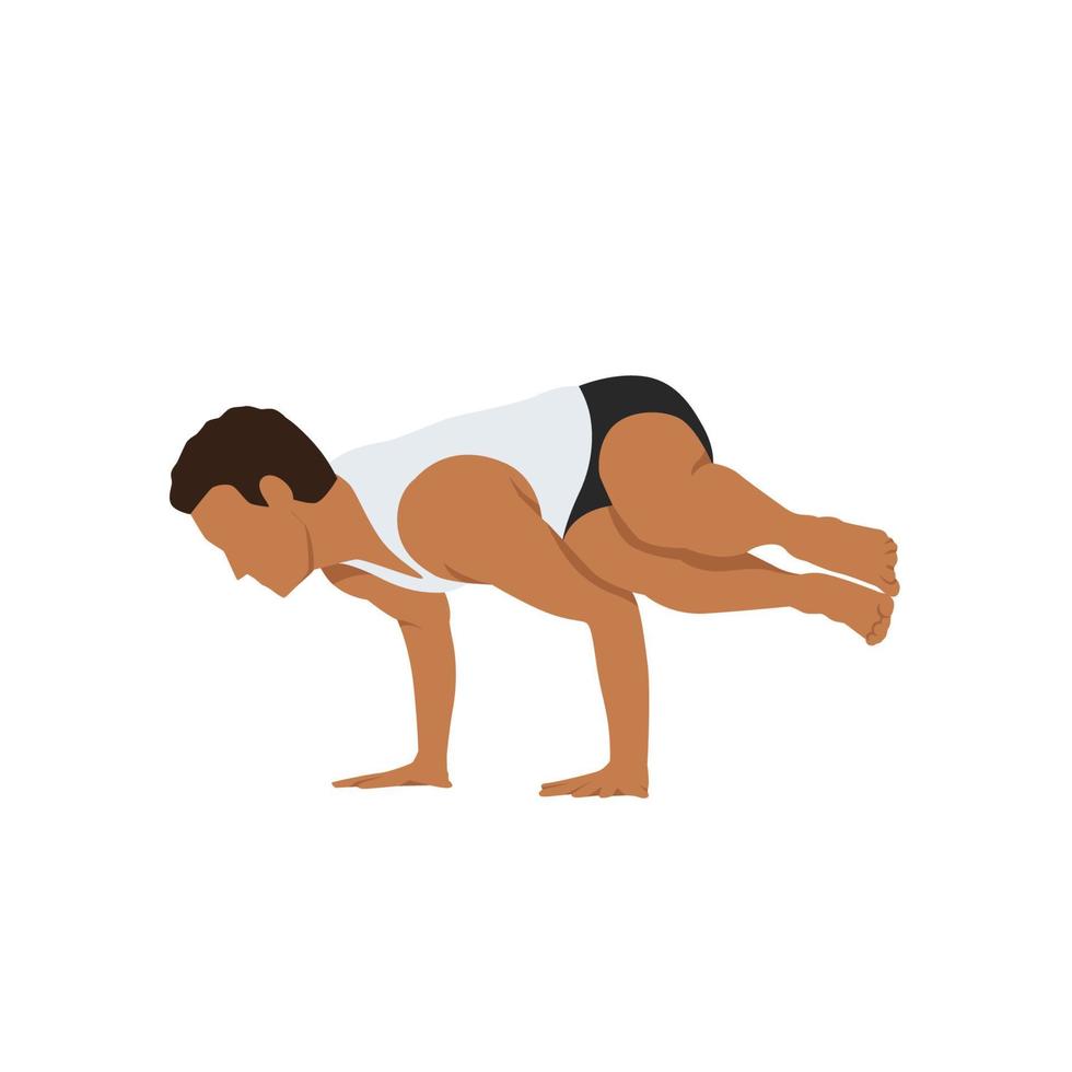 man håller på med sida kran utgör i vit bakgrund. parsva bakasana träning. balans och rekreation. platt vektor illustration isolerat på vit bakgrund