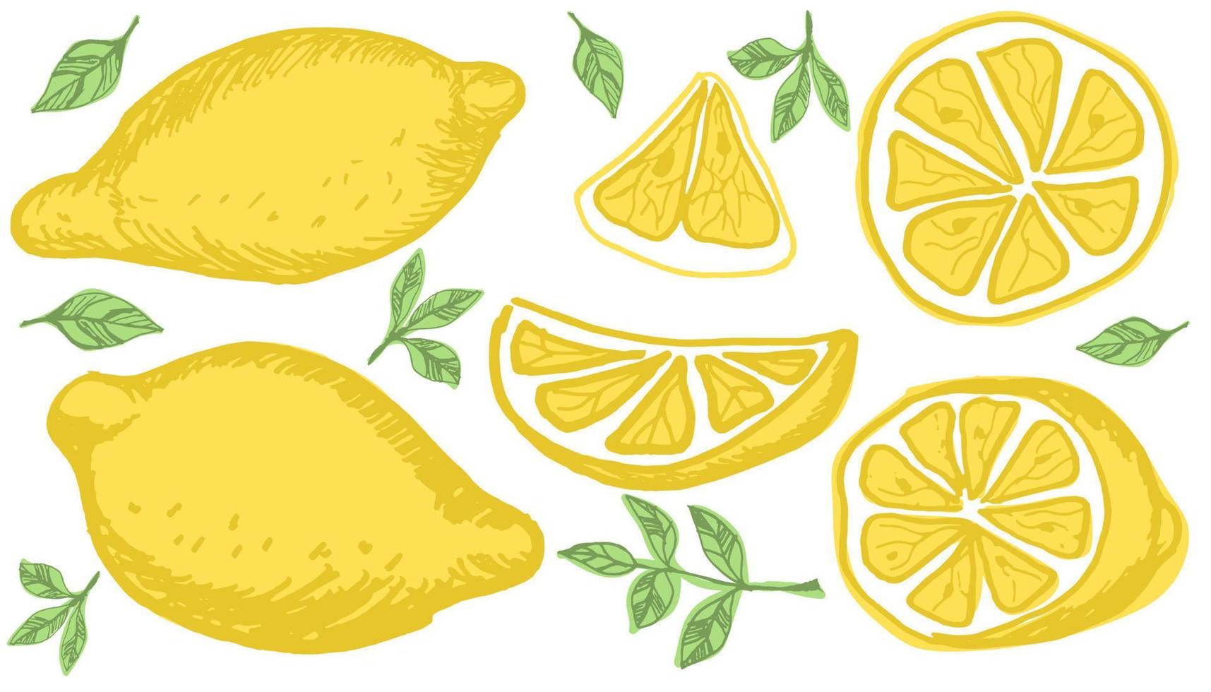 vektor hand dragen uppsättning av citroner.