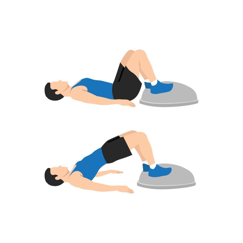 man håller på med bosu boll broar höft höjer. glute broar träning. platt vektor illustration isolerat på vit bakgrund