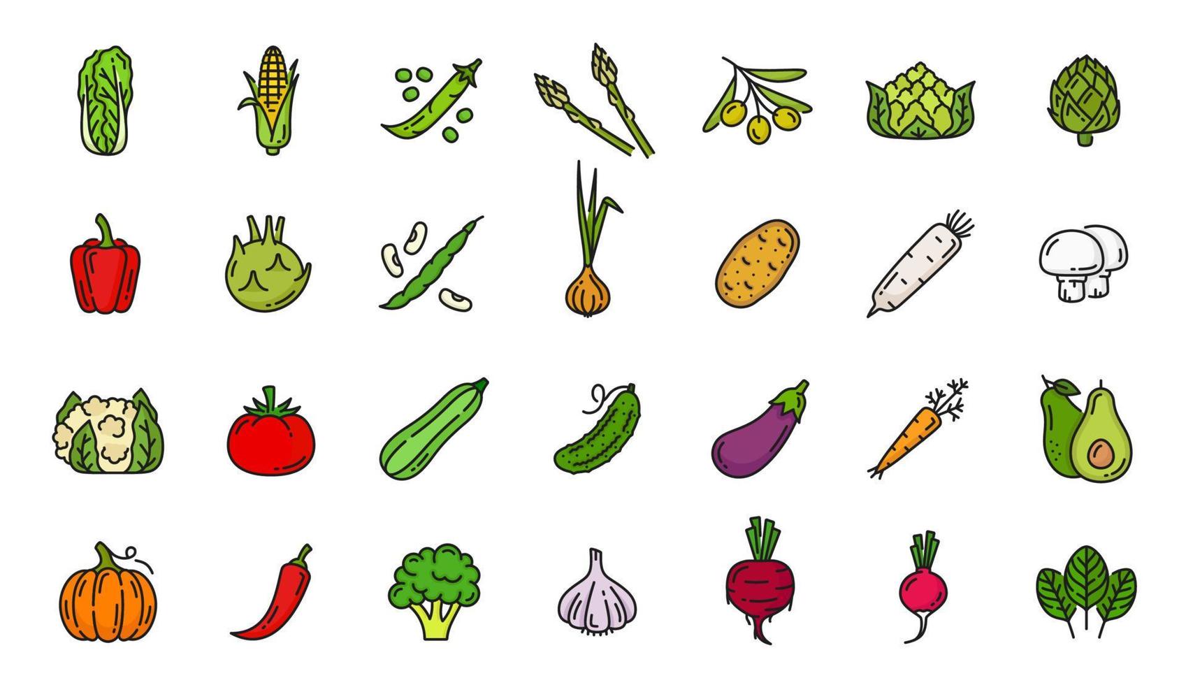 Farbumrisssymbole für rohes Gemüse auf dem Bauernhof festgelegt vektor