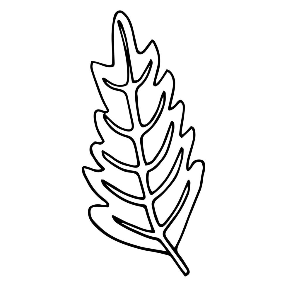 tropischer palmenurlaub im skizzenstil, isolierte vektorillustration. Blätter der Palme im linearen Doodle-Stil. Botanischer minimalistischer Druck aus exotischen Blättern, Skizzendesign. vektor