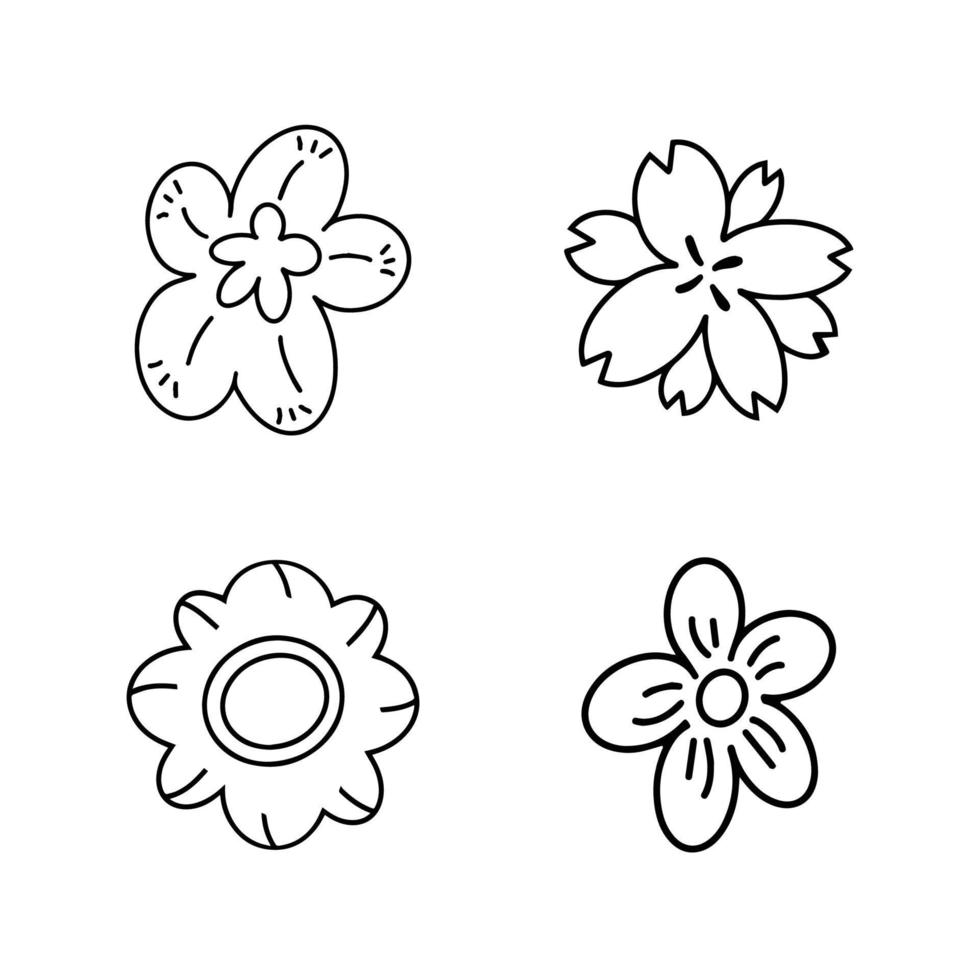 uppsättning av blommig eller blomma för element, dekoration, affisch, klistermärke vektor