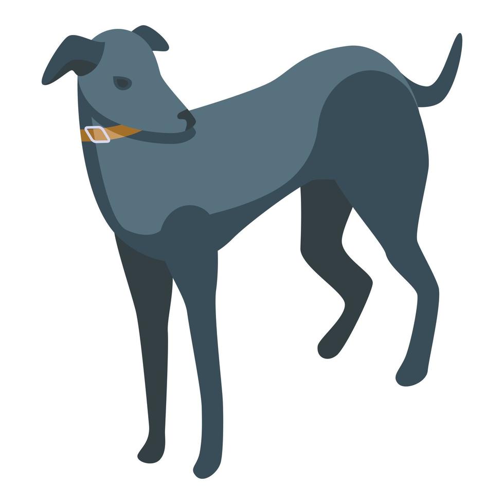 svart vinthund ikon isometrisk vektor. djur- hund vektor