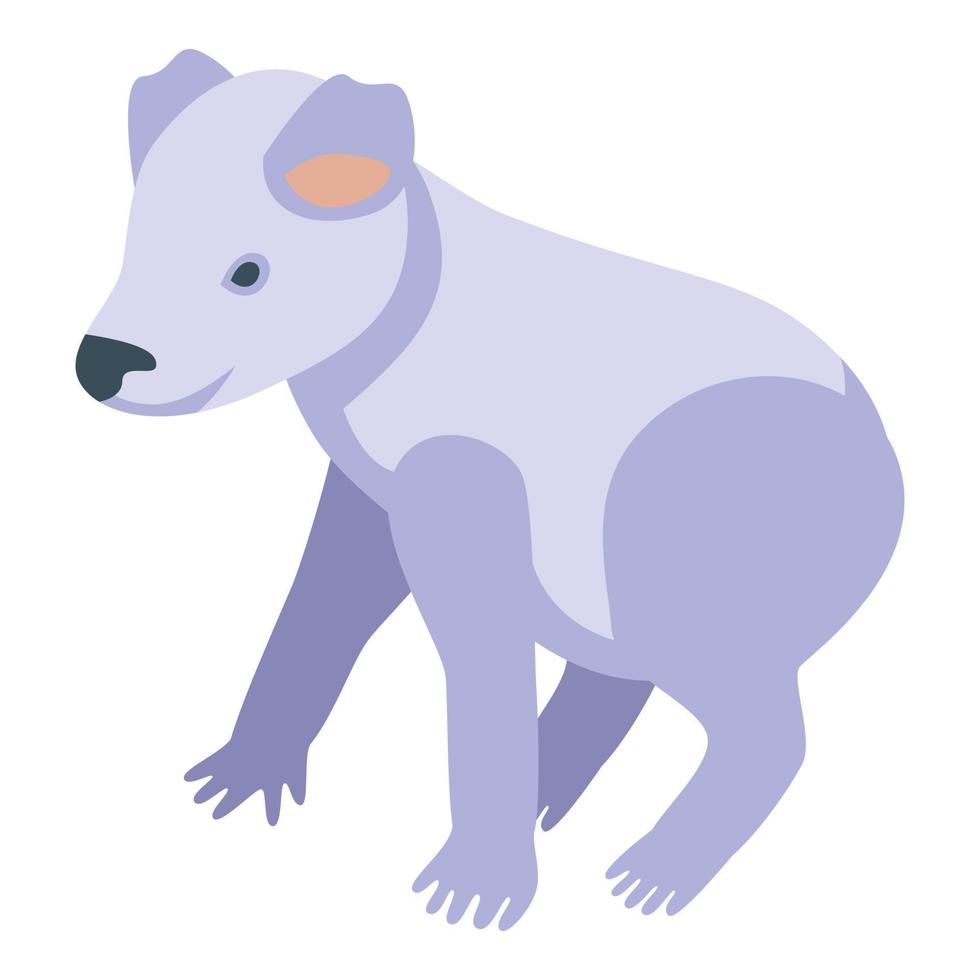 vit koala ikon isometrisk vektor. söt Björn vektor