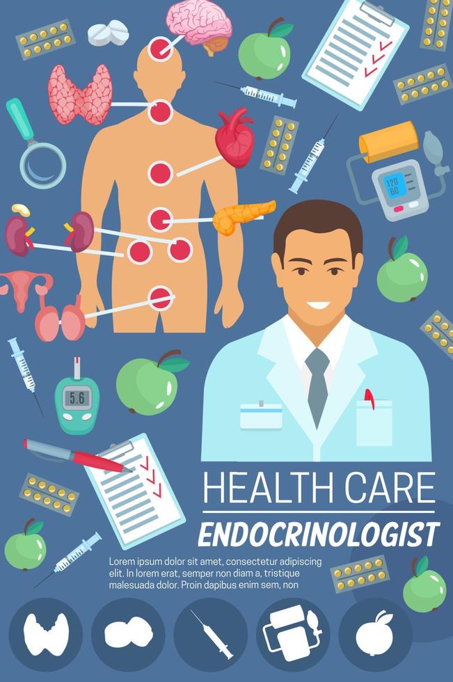 endokrinolog läkare med endokrin systemet organ vektor