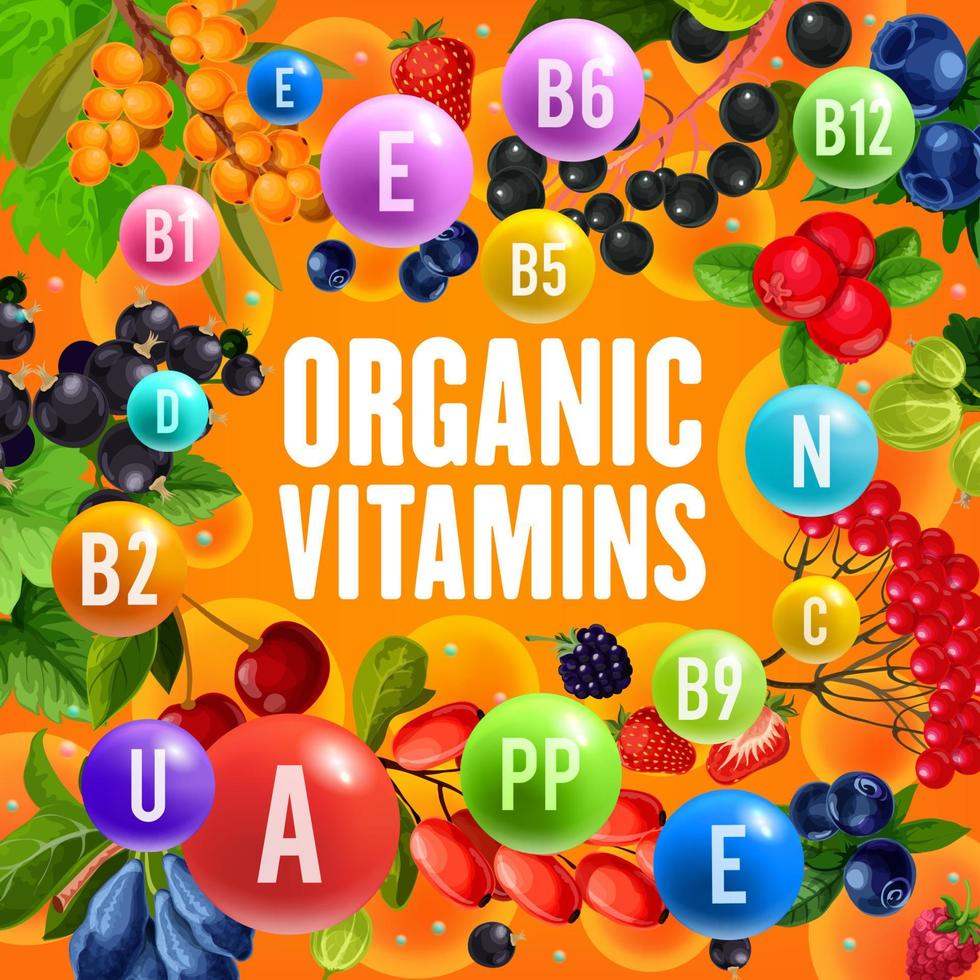 vitaminer innehåll av vild och trädgård bär vektor