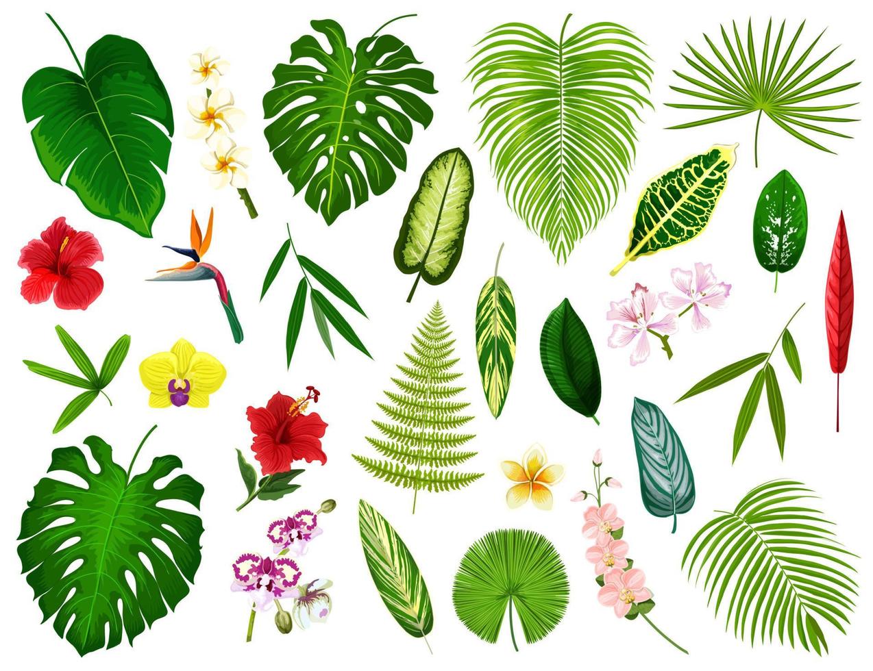 tropisk exotisk växter och blommor blad, vektor