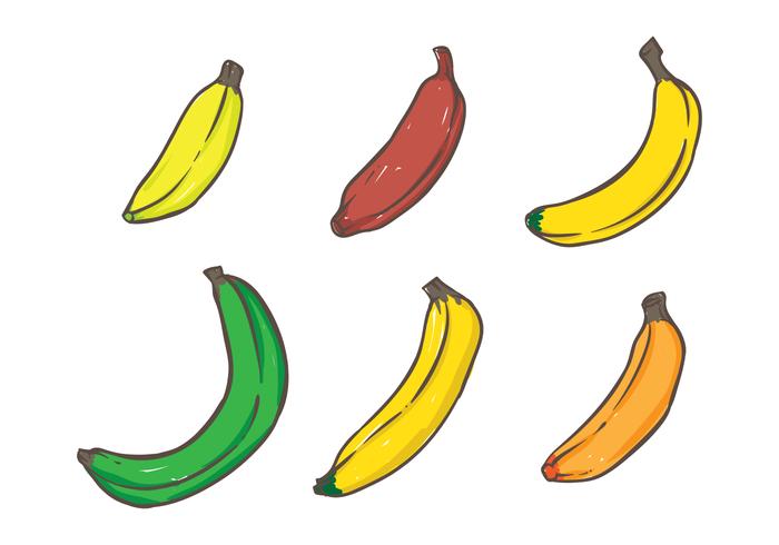 Bananenvariante vektor