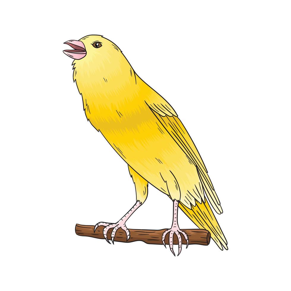 Vektor-Kanarienvogel, dieser Vogel hat eine schöne Stimme vektor