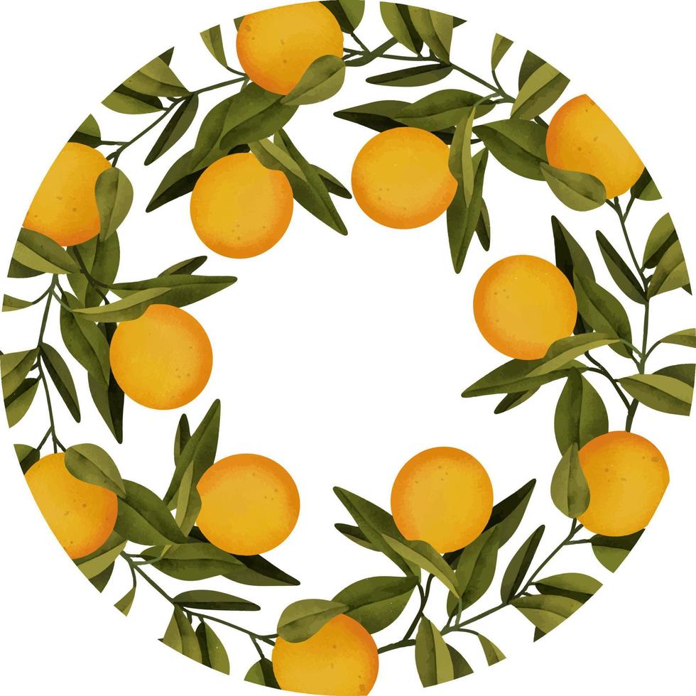 ram av handritad akvarell blommande apelsinträdgrenar och orange, isolerad illustration på en vit bakgrund vektor