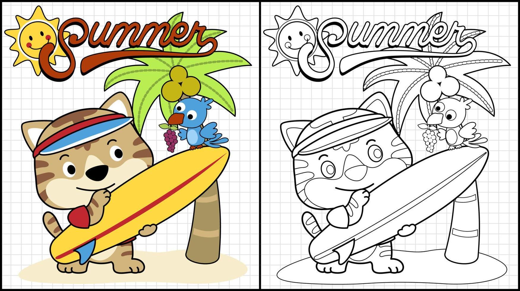 Malbuch des niedlichen Katzenkarikatur mit Surfbrett, kleiner Vogel, der Traubenbarsch auf Surfbrett trägt, Sommerelementillustrationen vektor