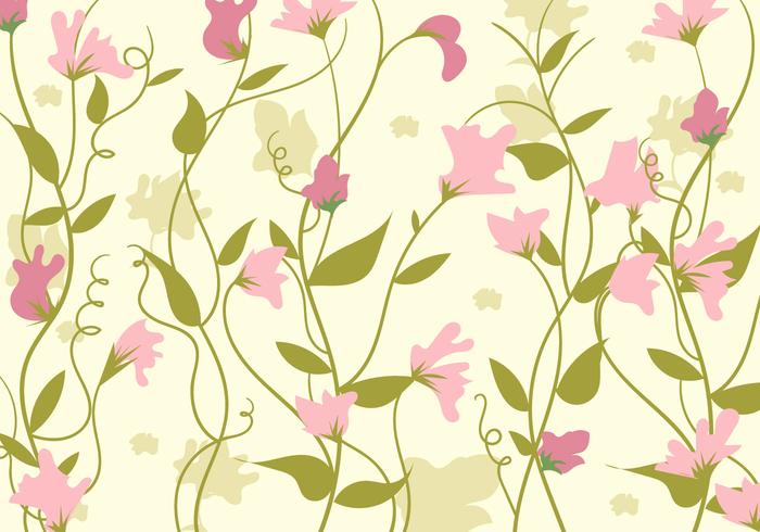 Süße Erbsen-Blumen-Hintergrund-Schablone vektor